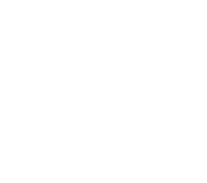 Virtual Watchman Logo